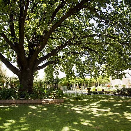 Barney Barnato B&B Kimberley Exteriér fotografie